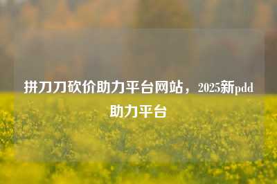 拼刀刀砍价助力平台网站,2025新pdd助力平台