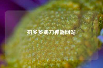 拼多多助力神器网站