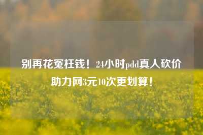 别再花冤枉钱!24小时pdd真人砍价助力网3元10次更划算!