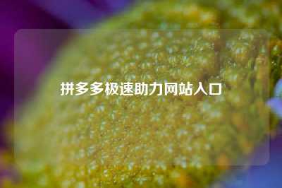 拼多多极速助力网站入口