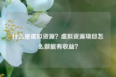 什么是虚拟资源？虚拟资源项目怎么做能有收益？