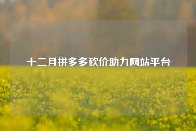 十二月拼多多砍价助力网站平台