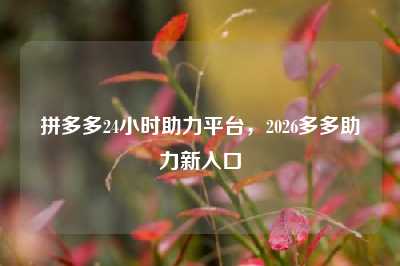 拼多多24小时助力平台,2026多多助力新入口