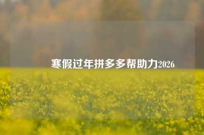 ❄️寒假过年拼多多帮助力2026