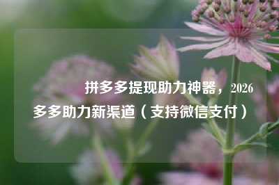 🎉拼多多提现助力神器,2026多多助力新渠道(支持微信支付)