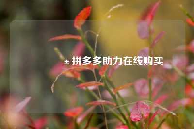 📱拼多多助力在线购买