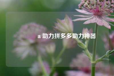 📱助力拼多多助力神器