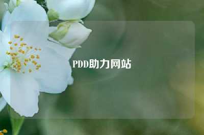 PDD助力网站