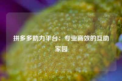 拼多多助力平台：专业高效的互助家园