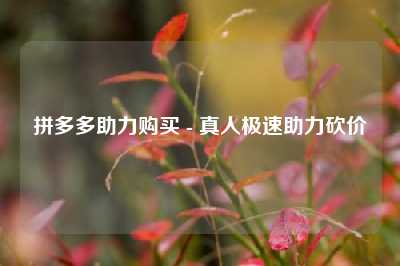 拼多多助力购买 - 真人极速助力砍价