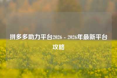 拼多多助力平台2026 - 2026年最新平台攻略