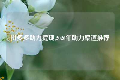 拼多多助力提现,2026年助力渠道推荐