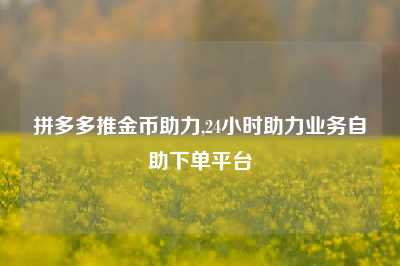 拼多多推金币助力,24小时助力业务自助下单平台