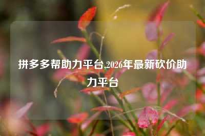 拼多多帮助力平台,2026年最新砍价助力平台