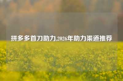 拼多多首刀助力,2026年助力渠道推荐