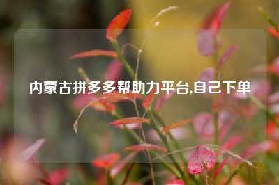 内蒙古拼多多帮助力平台,自己下单