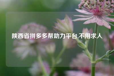陕西省拼多多帮助力平台,不用求人