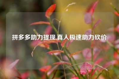 拼多多助力提现,真人极速助力砍价