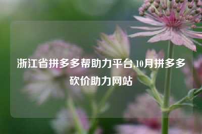 浙江省拼多多帮助力平台,10月拼多多砍价助力网站