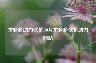 拼多多助力砍价,10月拼多多砍价助力网站