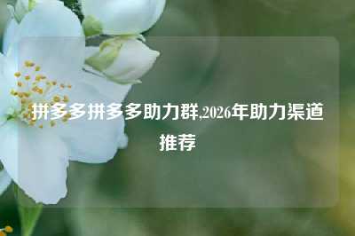 拼多多拼多多助力群,2026年助力渠道推荐