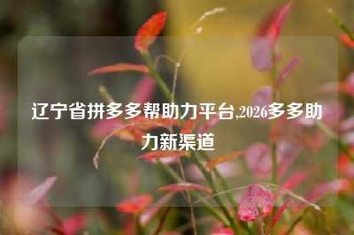 辽宁省拼多多帮助力平台,2026多多助力新渠道