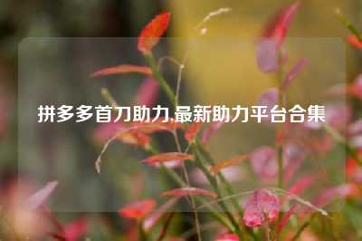 拼多多首刀助力,最新助力平台合集