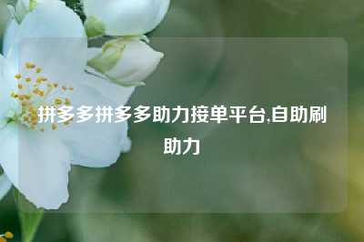 拼多多拼多多助力接单平台,自助刷助力