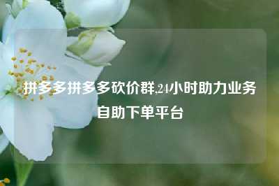 拼多多拼多多砍价群,24小时助力业务自助下单平台