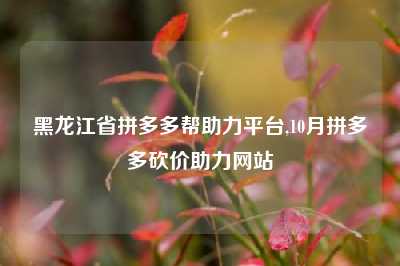 黑龙江省拼多多帮助力平台,10月拼多多砍价助力网站