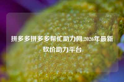 拼多多拼多多帮忙助力网,2026年最新砍价助力平台