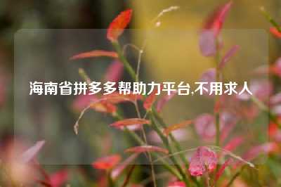 海南省拼多多帮助力平台,不用求人
