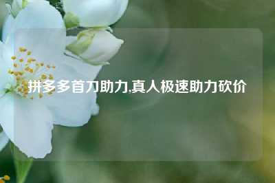 拼多多首刀助力,真人极速助力砍价