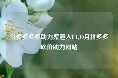 拼多多多多助力渠道入口,10月拼多多砍价助力网站
