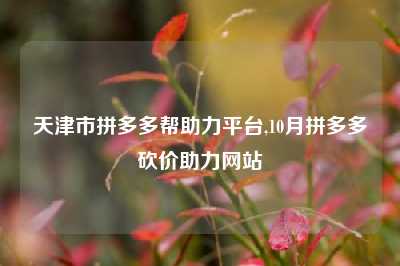 天津市拼多多帮助力平台,10月拼多多砍价助力网站