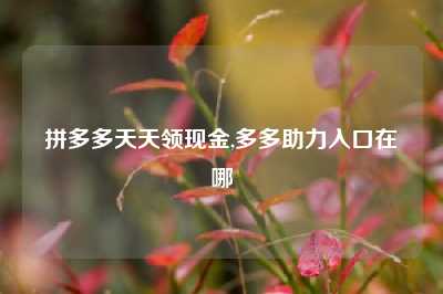 拼多多天天领现金,多多助力入口在哪