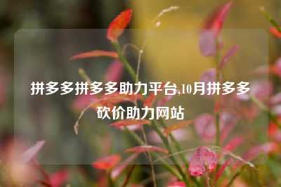 拼多多拼多多助力平台,10月拼多多砍价助力网站