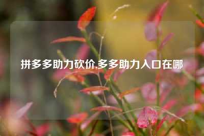 拼多多助力砍价,多多助力入口在哪