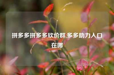 拼多多拼多多砍价群,多多助力入口在哪