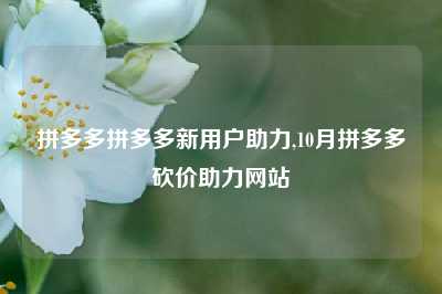拼多多拼多多新用户助力,10月拼多多砍价助力网站