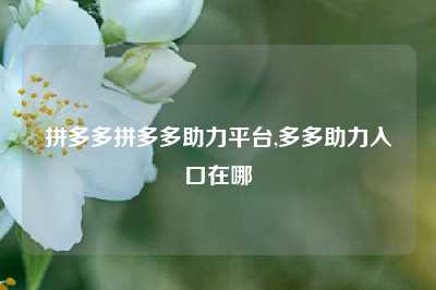 拼多多拼多多助力平台,多多助力入口在哪