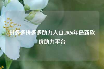 拼多多拼多多助力入口,2026年最新砍价助力平台