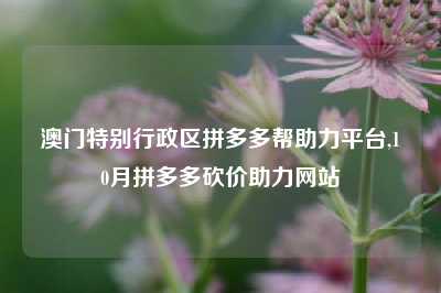 澳门特别行政区拼多多帮助力平台,10月拼多多砍价助力网站