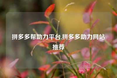 拼多多帮助力平台,拼多多助力网站推荐