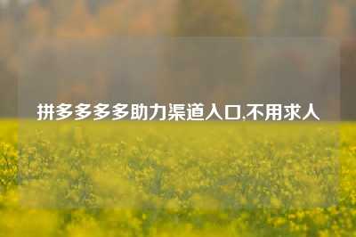 拼多多多多助力渠道入口,不用求人