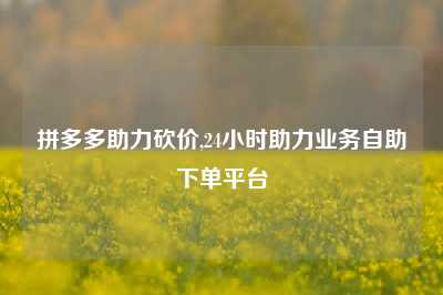 拼多多助力砍价,24小时助力业务自助下单平台