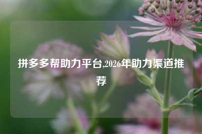 拼多多帮助力平台,2026年助力渠道推荐