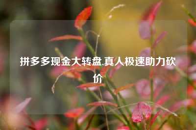 拼多多现金大转盘,真人极速助力砍价