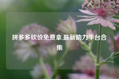 拼多多砍价免费拿,最新助力平台合集
