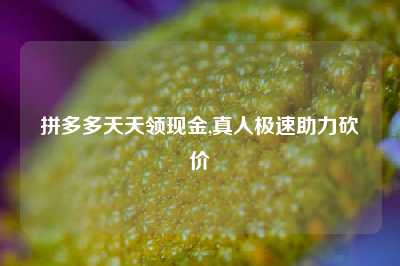 拼多多天天领现金,真人极速助力砍价
